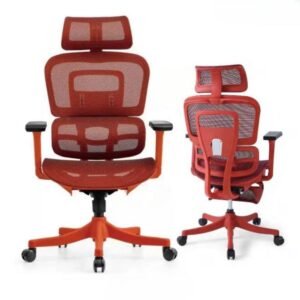 Ergonomic Chair