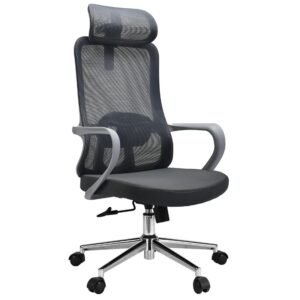 Comfy Gaming Desk Chair for Lower Back Pain CY826AG