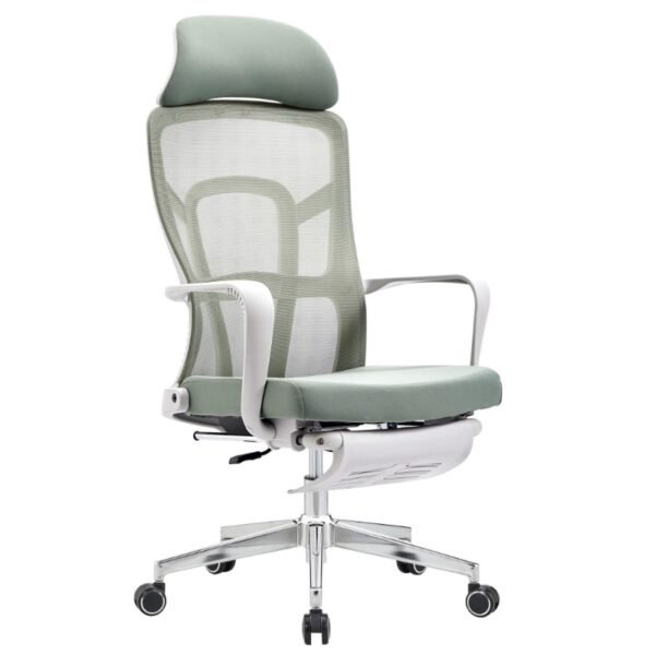 Ergonomic Computer Chair with Footrest Reclining Desk Chair CY822AG - Image 2