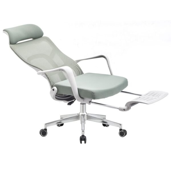 Ergonomic Computer Chair with Footrest Reclining Desk Chair CY822AG - Image 7