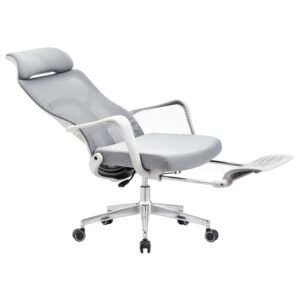 Ergonomic Computer Chair with Footrest Reclining Desk Chair CY822AG