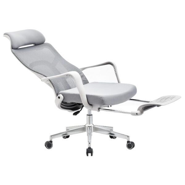 Ergonomic Computer Chair with Footrest Reclining Desk Chair CY822AG