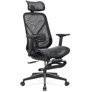 Ergonomic Computer Chair with Footrest Reclining Desk Chair CY235AB