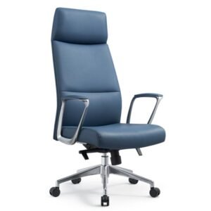 Chinese Manufacturer Luxury Leather Chair Seating CY170A