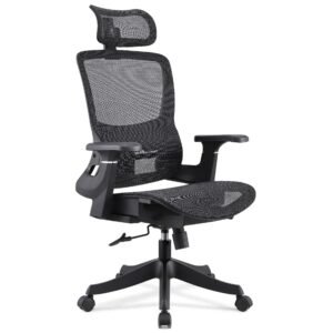 Modern Office Task Chair Mesh Chair with Headrest CY55AB