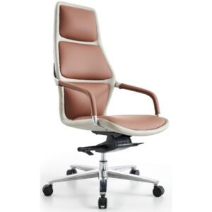 Luxurious Leather Executive Chair Office Space CY211A